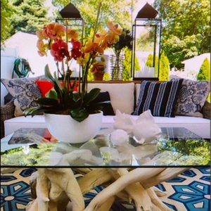 Name your own price 🎈💙💜💚